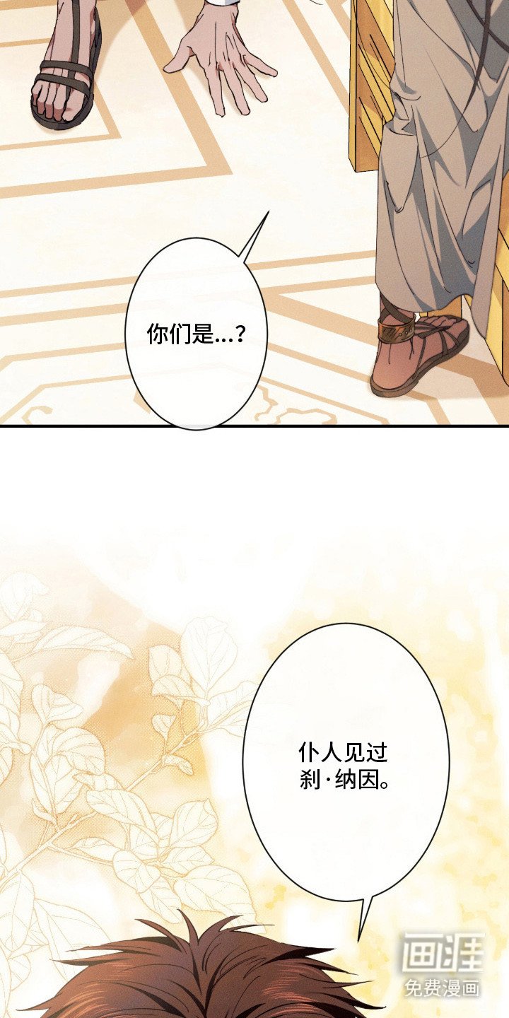 第19章：护卫