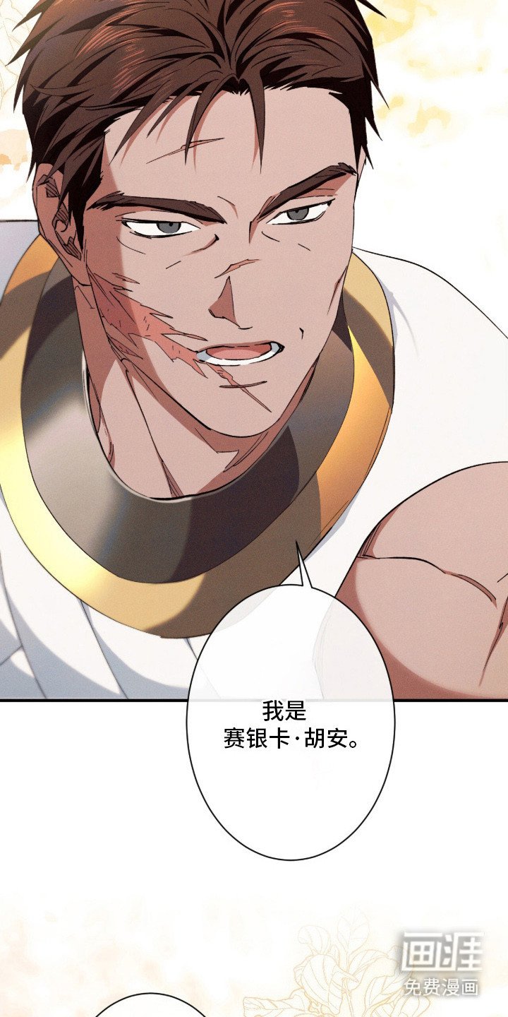 第19章：护卫