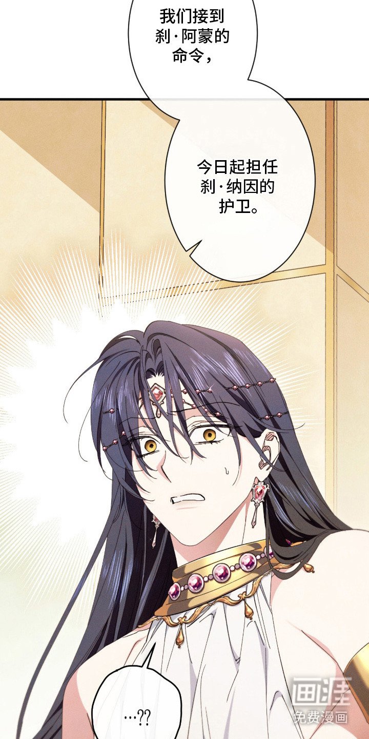 第19章：护卫