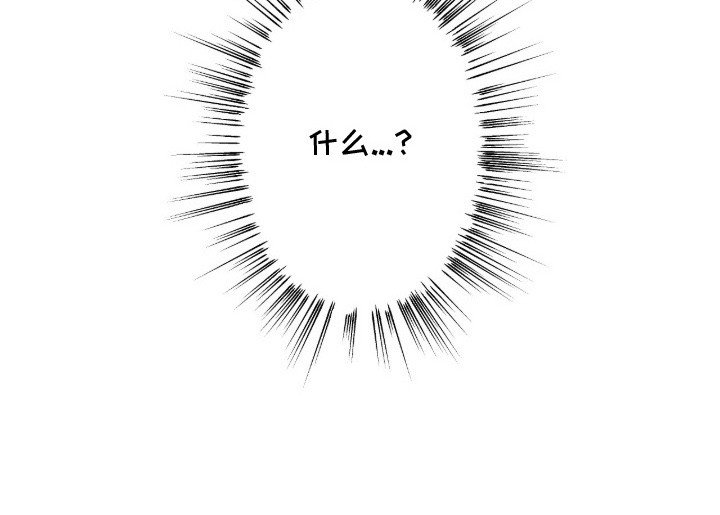 第19章：护卫