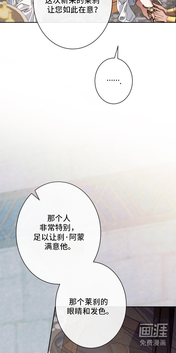 第2章：很在意
