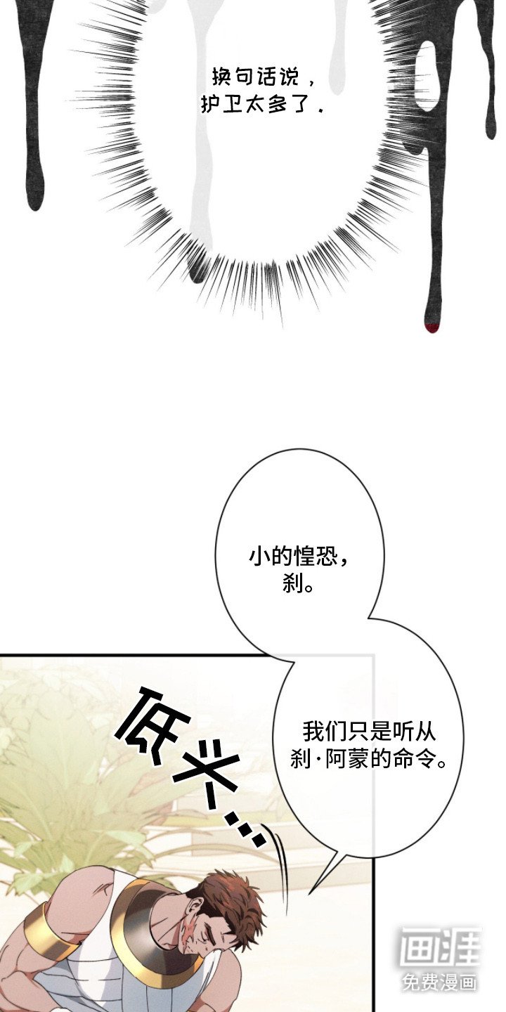 第20章：战斗祭司