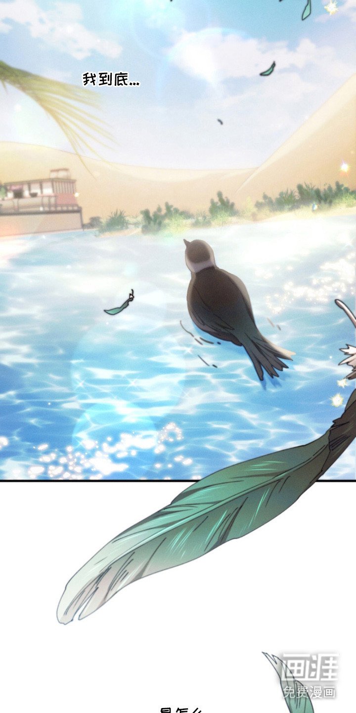 第22章：嫉妒