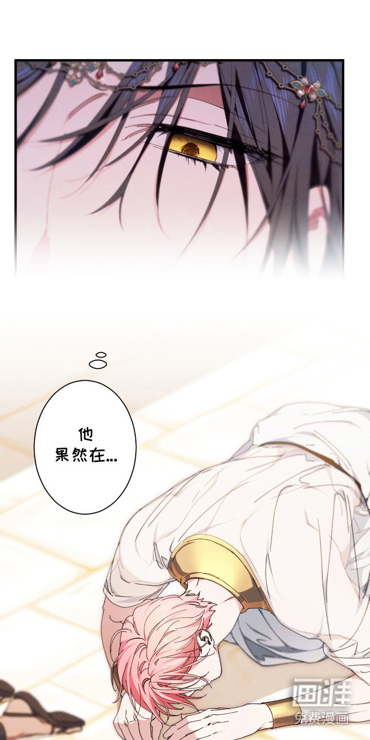 第23章：莲花殿