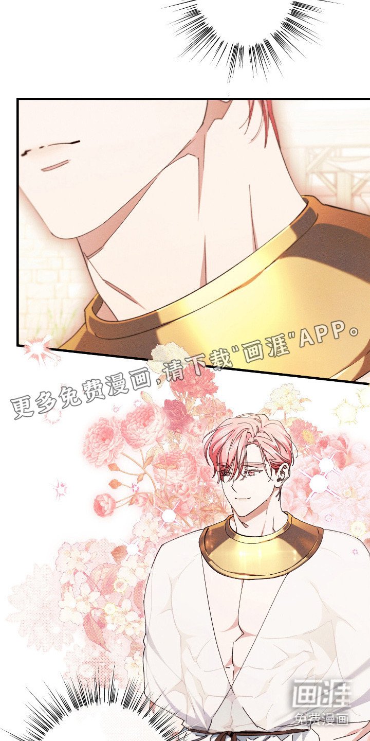 第24章：贡品