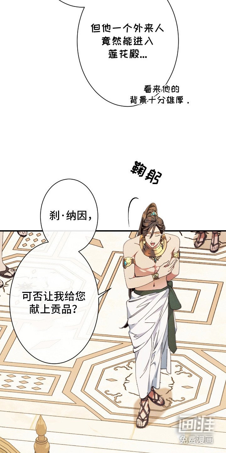 第24章：贡品