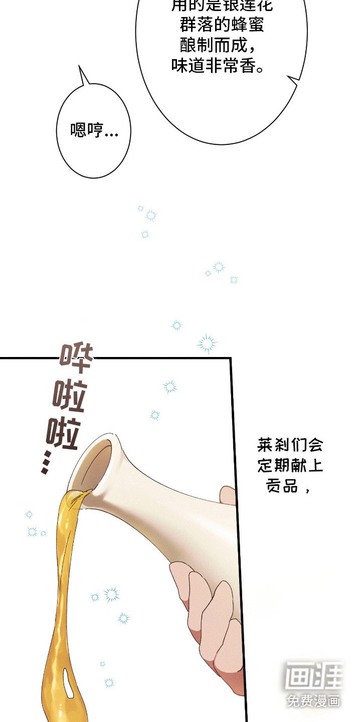 第24章：贡品