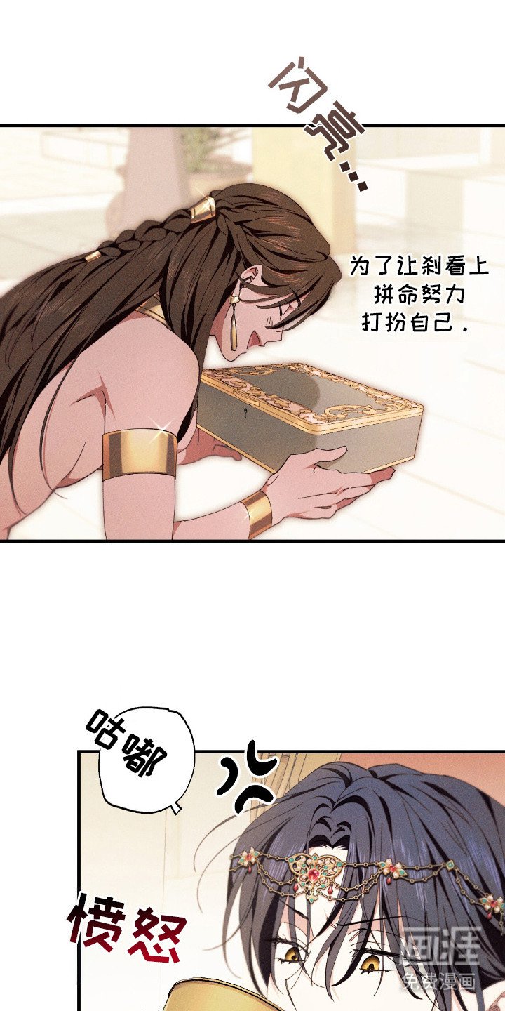 第24章：贡品
