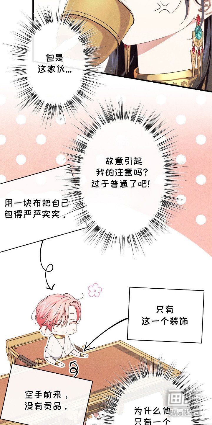 第24章：贡品