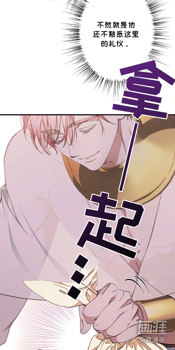 第24章：贡品