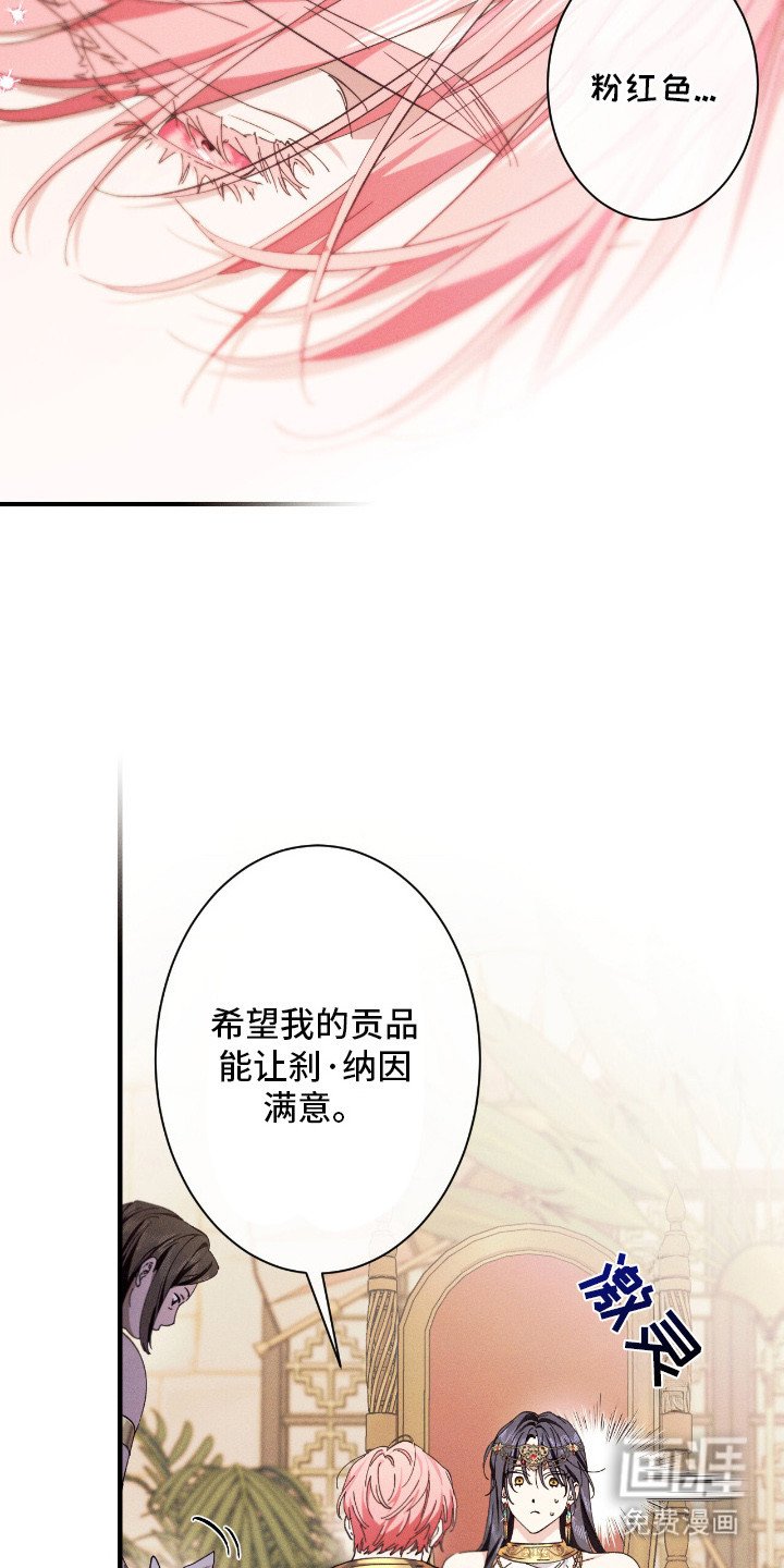 第24章：贡品