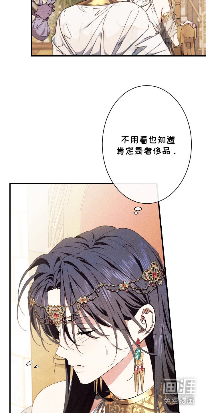 第24章：贡品