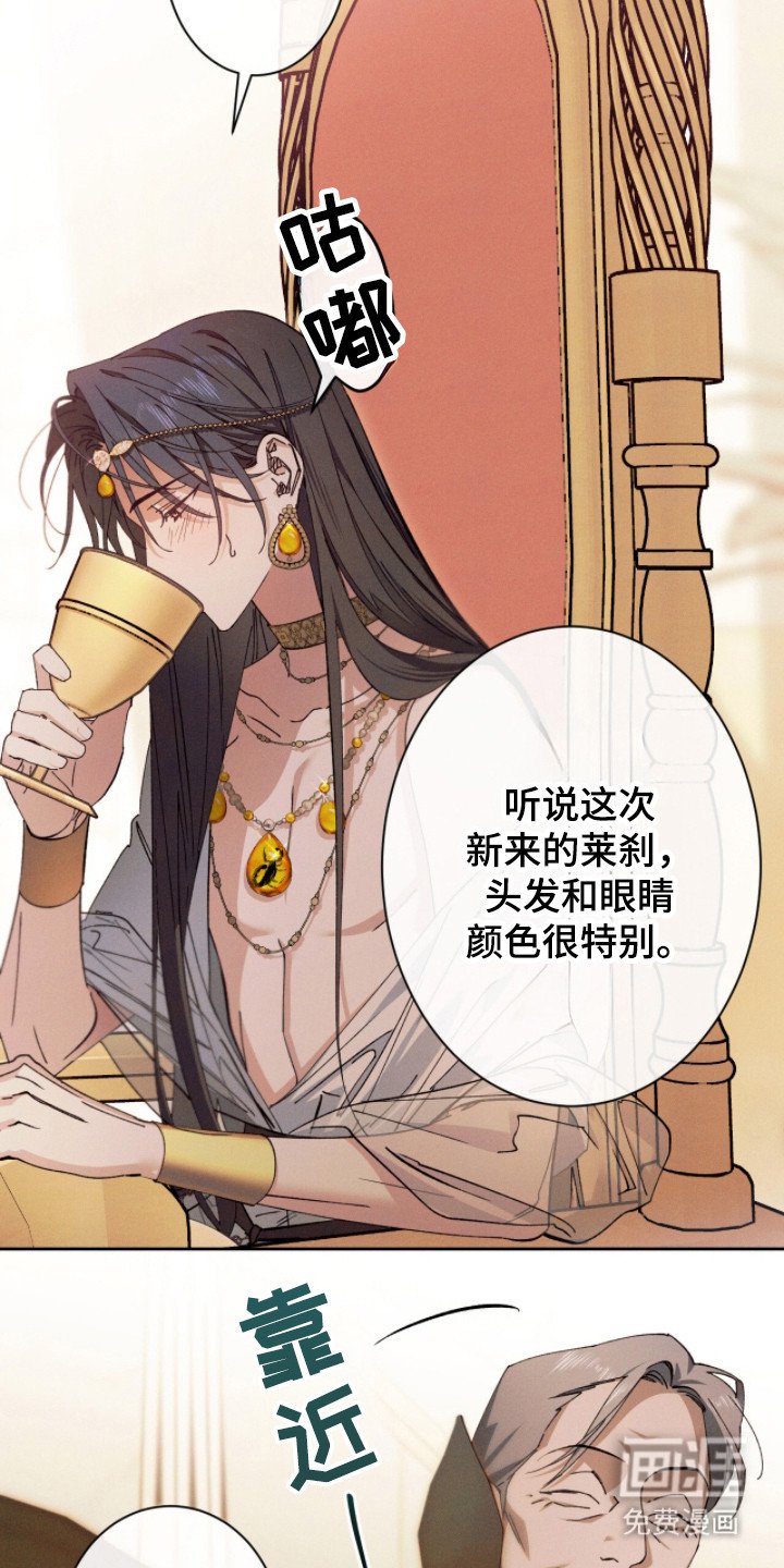 第6章：好奇