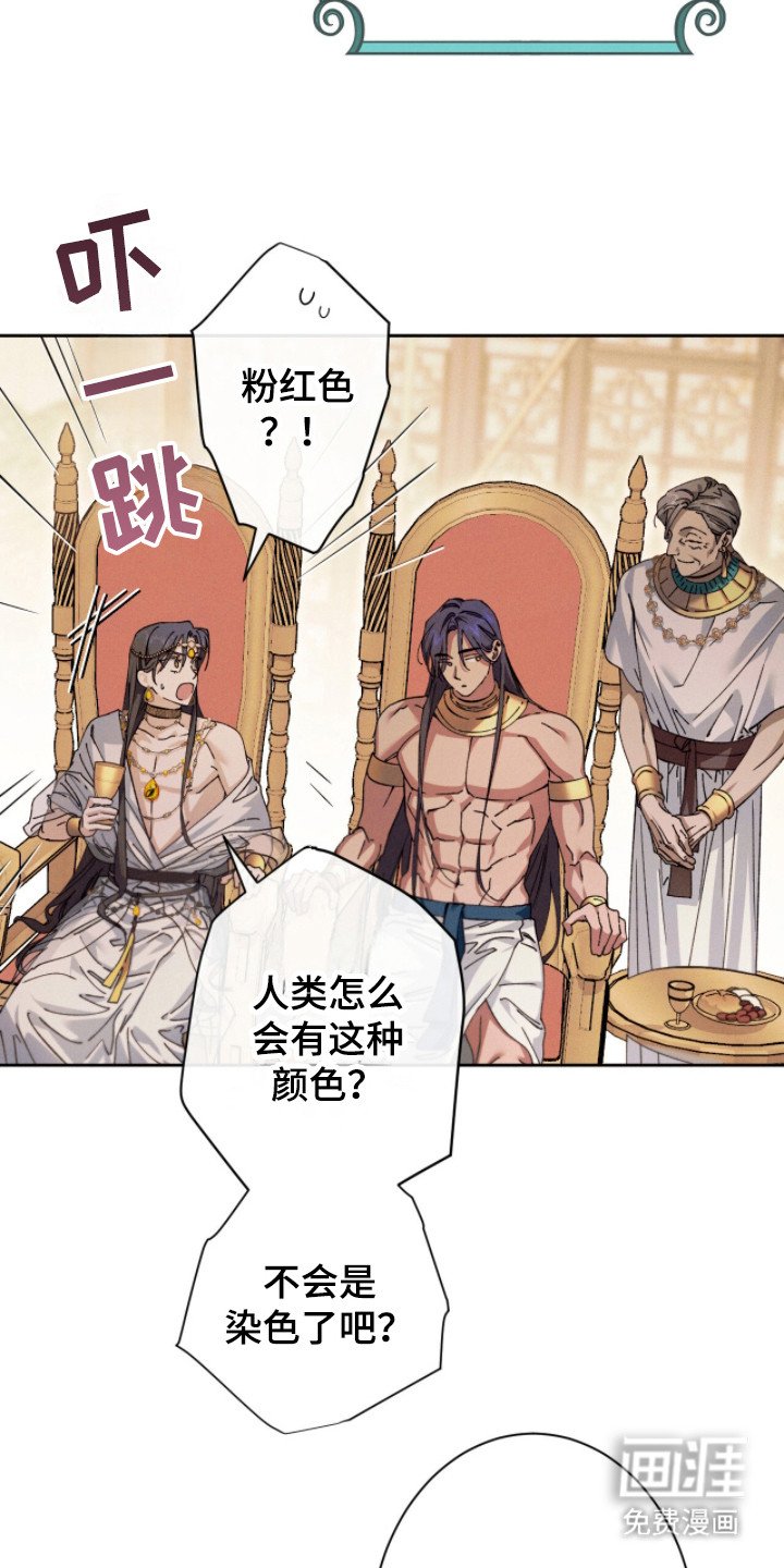 第6章：好奇