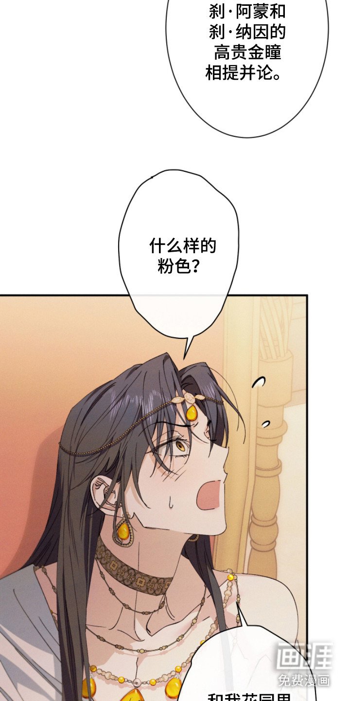第6章：好奇