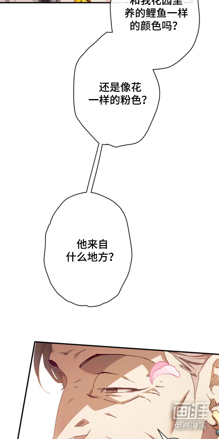 第6章：好奇