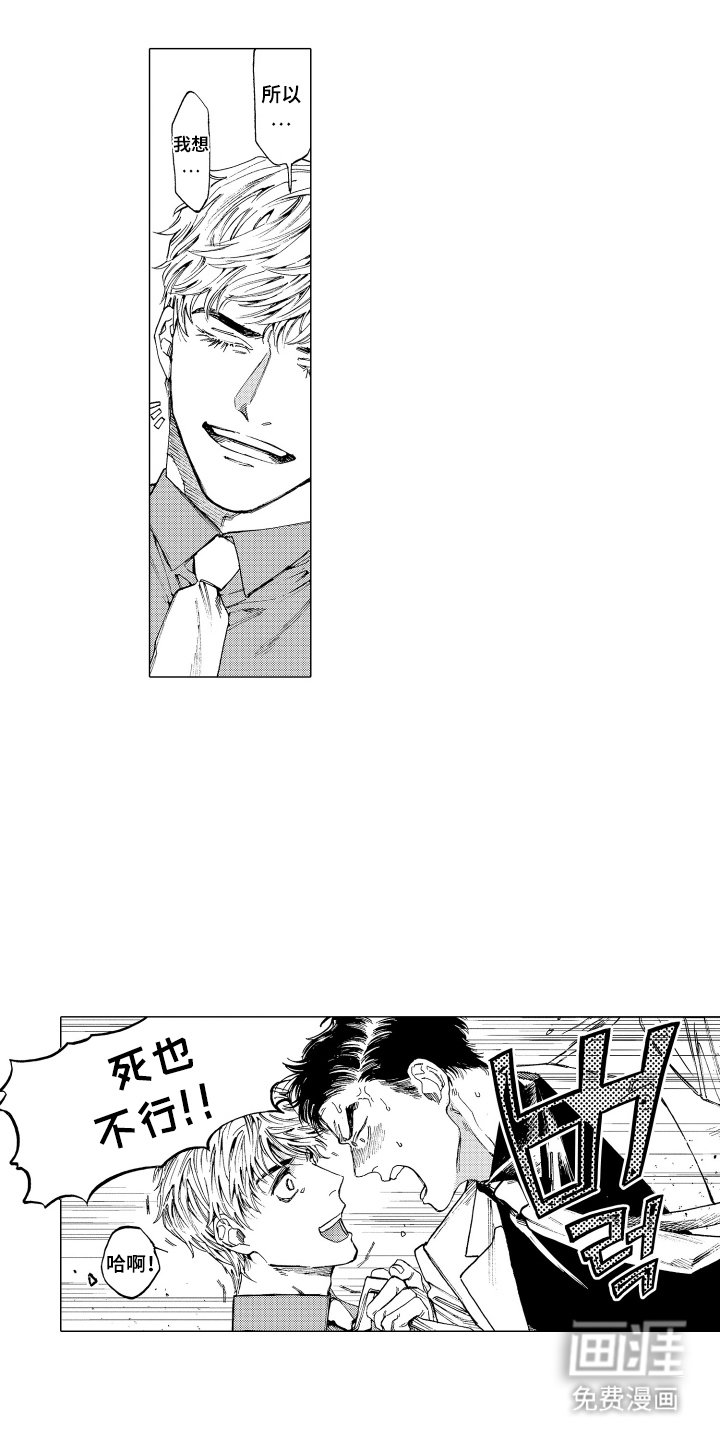 第10章：保留意见