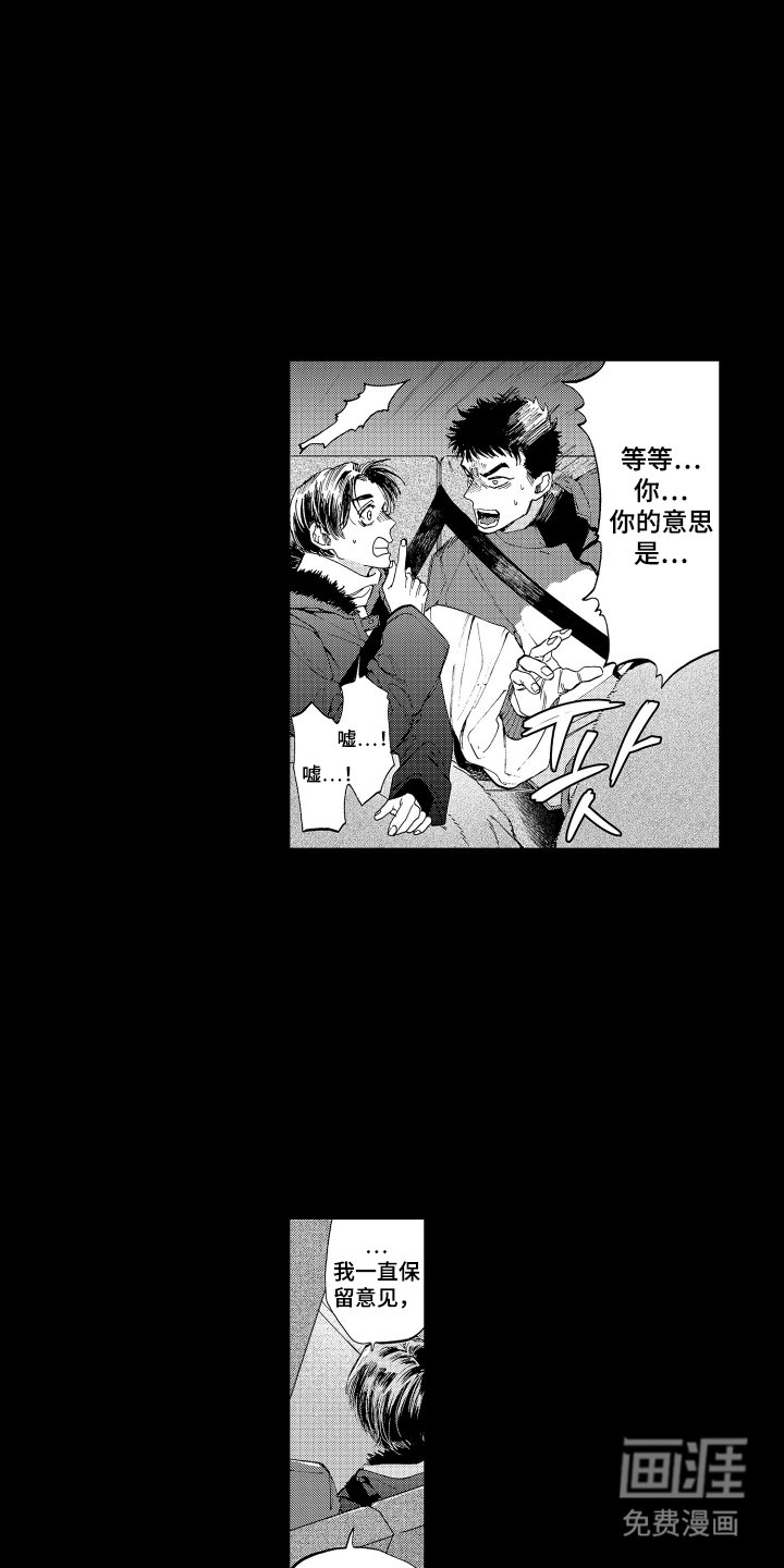 第10章：保留意见
