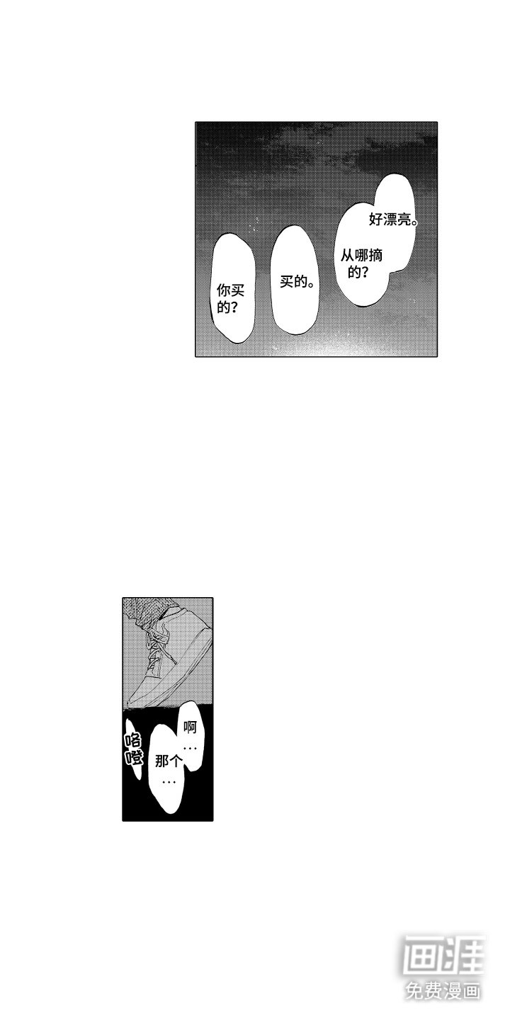 第28章：向日葵
