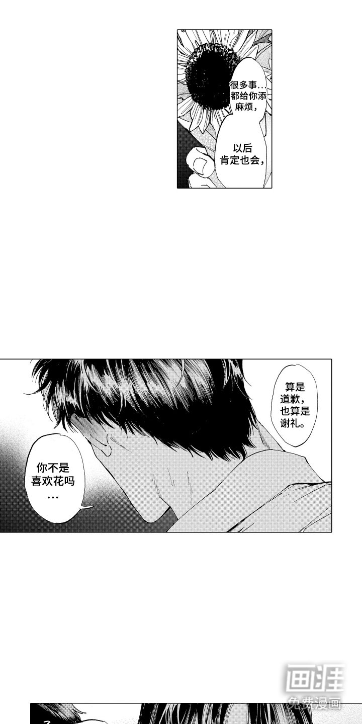 第28章：向日葵