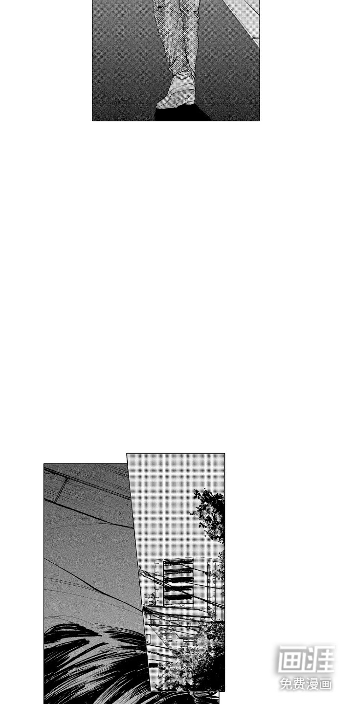 第28章：向日葵