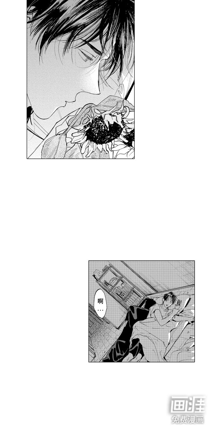 第28章：向日葵