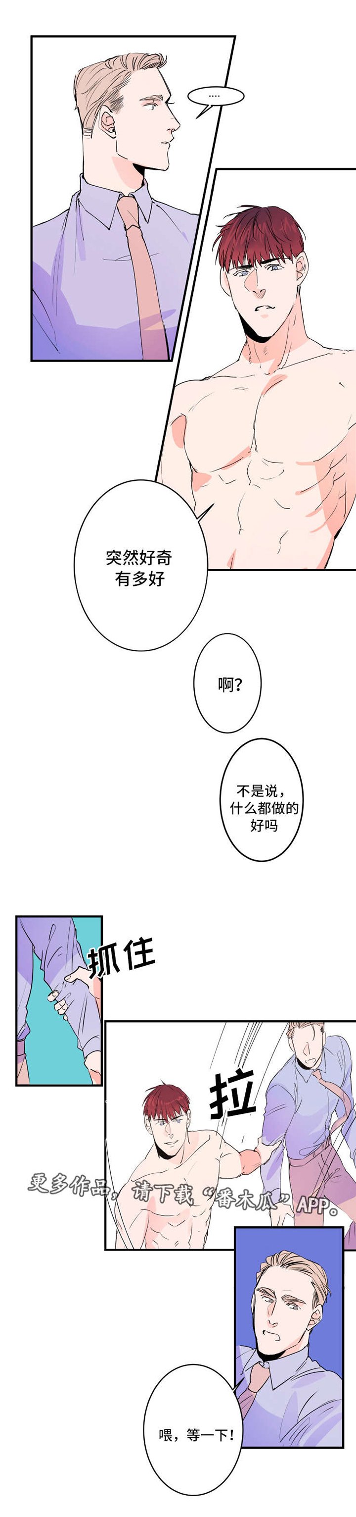 第31章：功能
