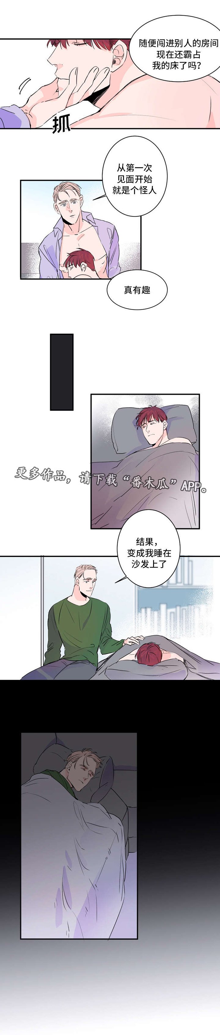 第31章：功能