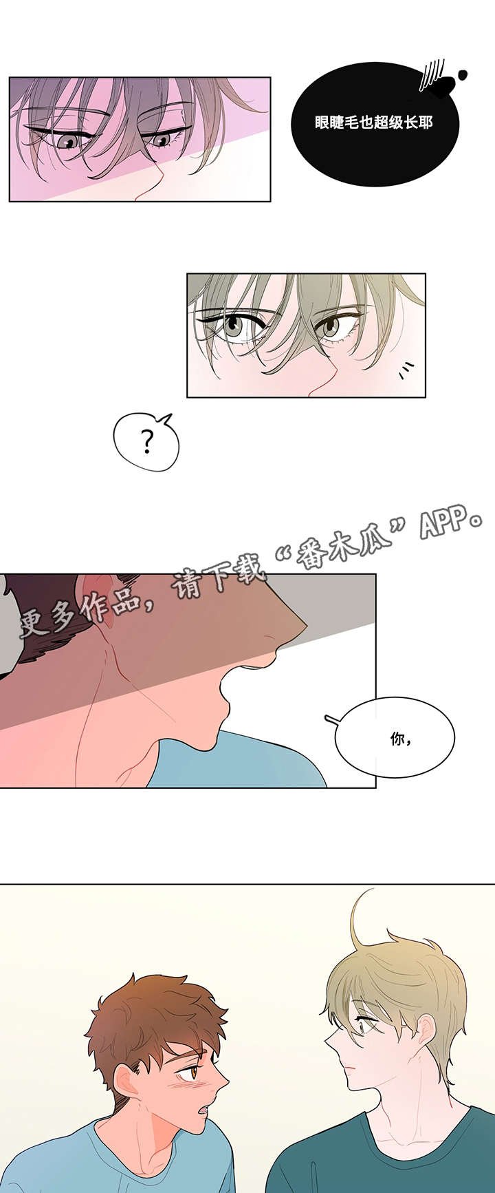 第19章：尝试