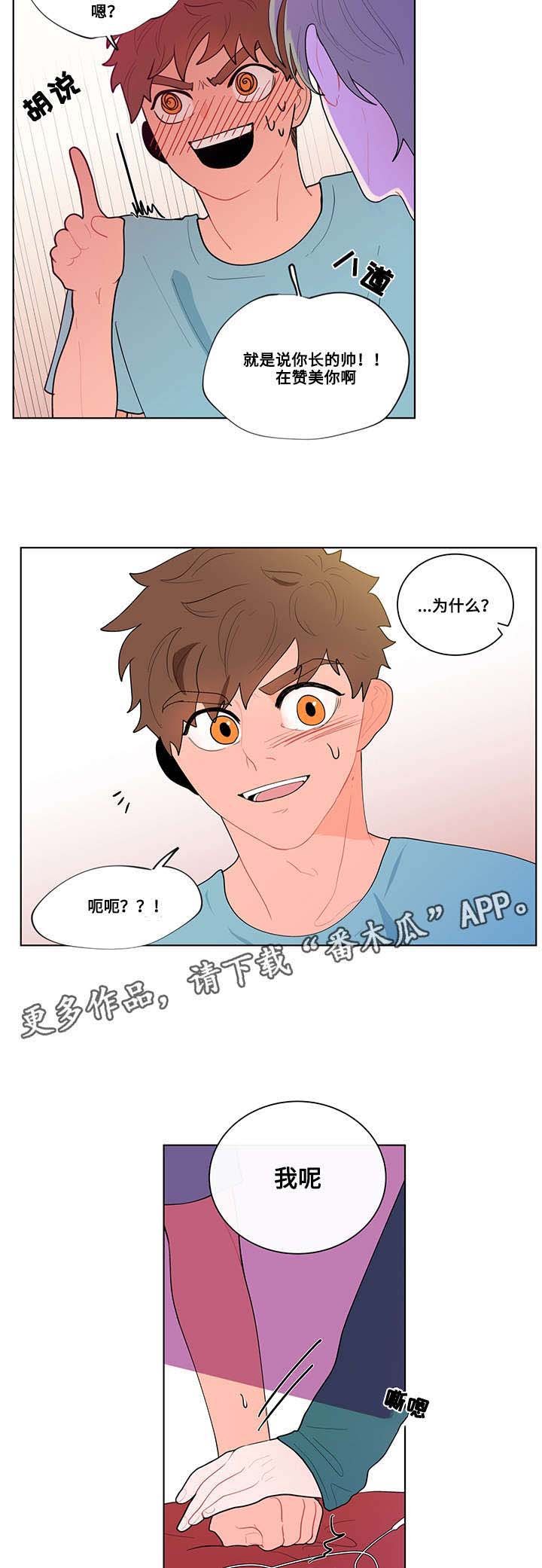 第19章：尝试