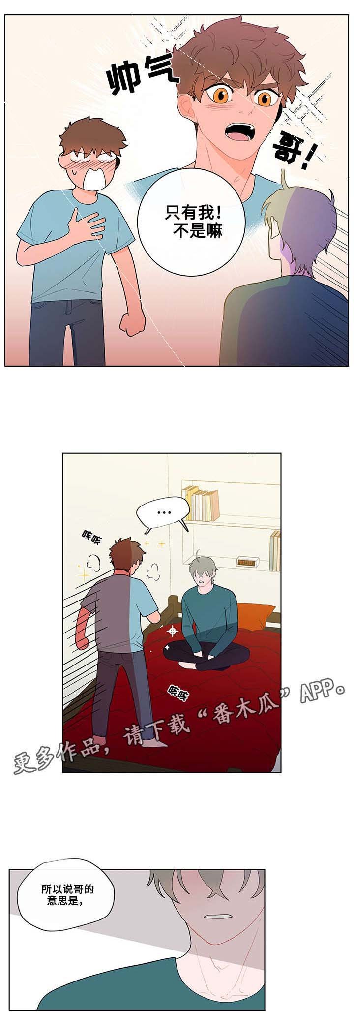 第19章：尝试
