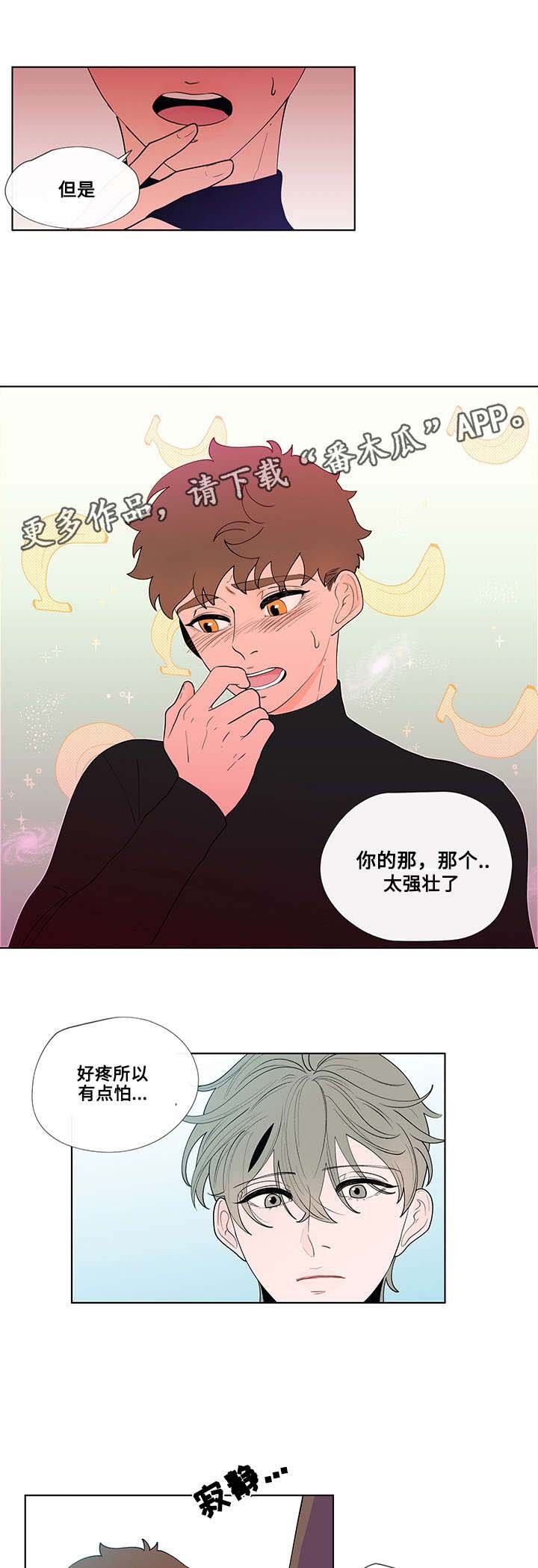 第25章：解释