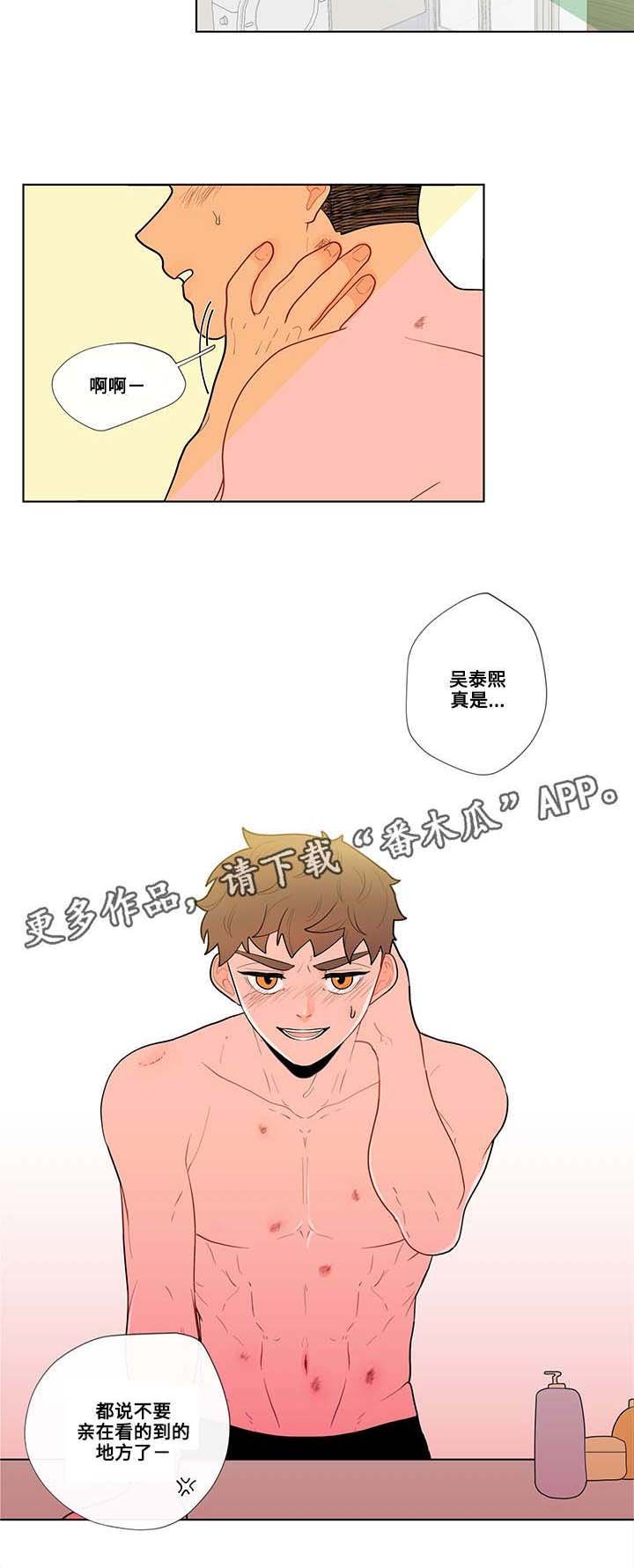 第29章：道具