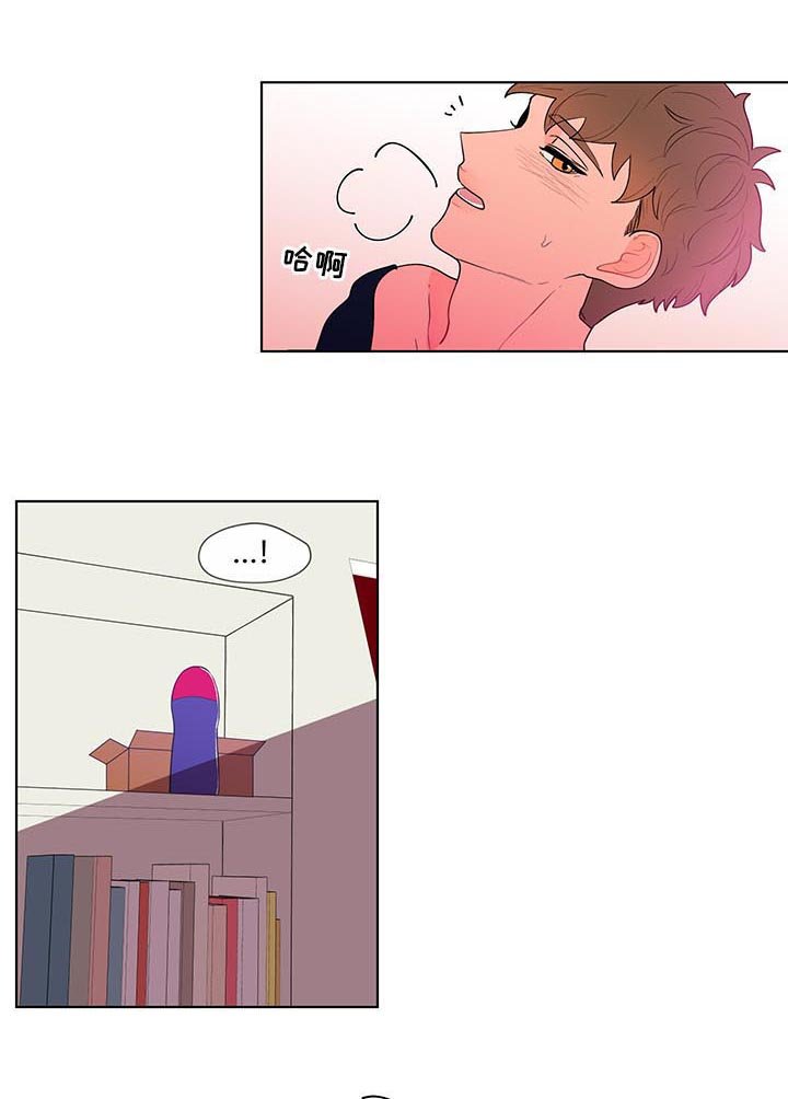 第32章：适应