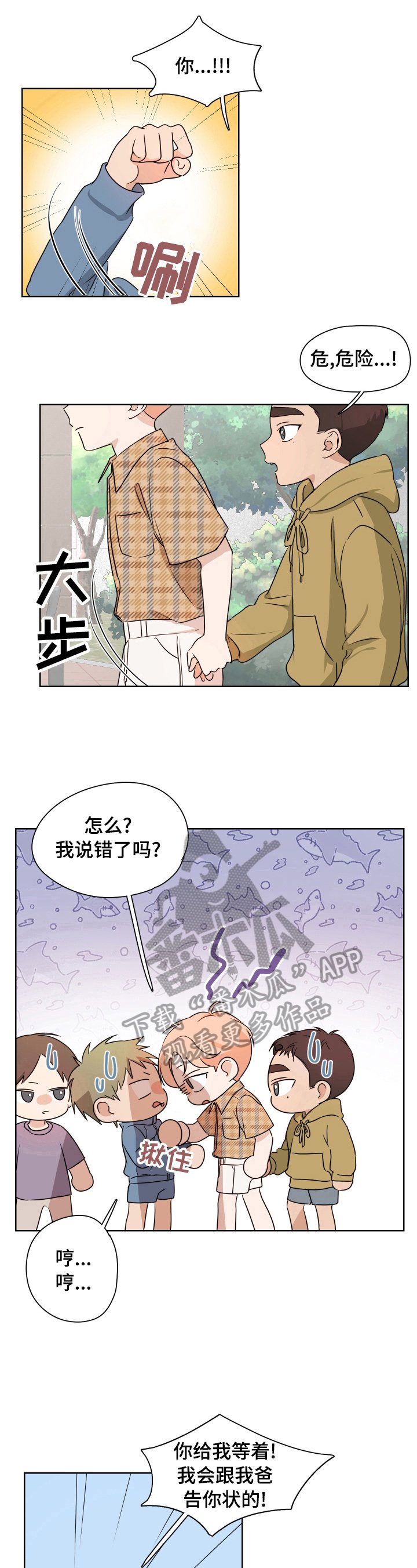 第17章：保护