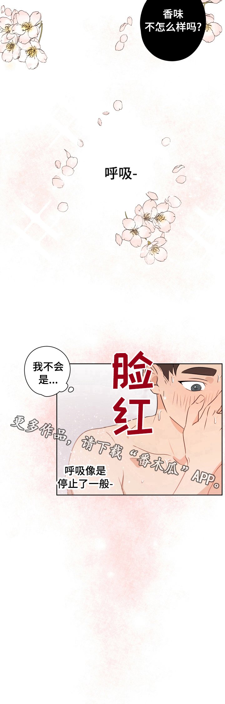 第18章：香味