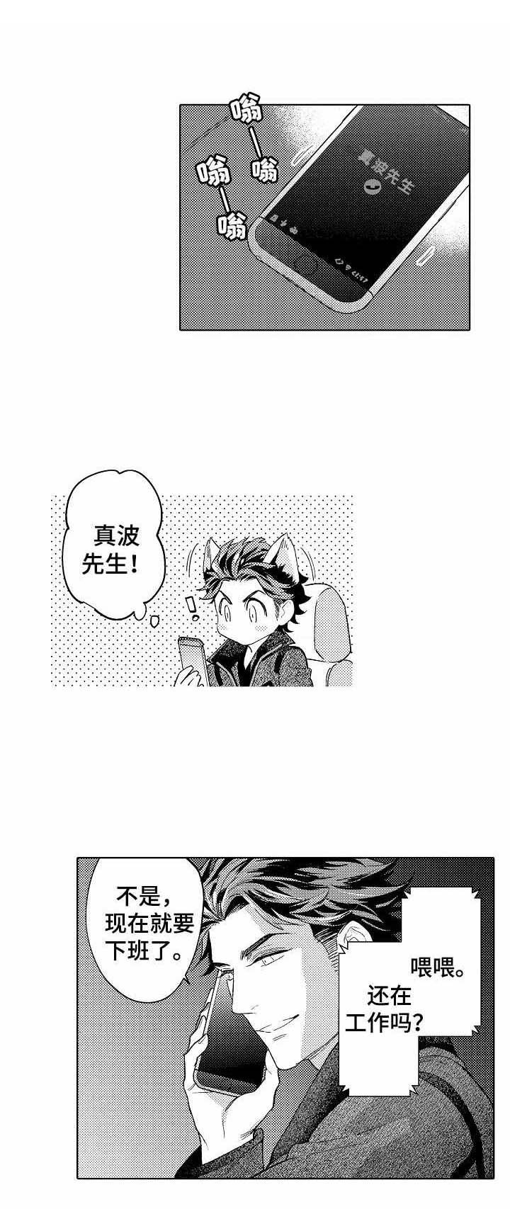 第13章：主动