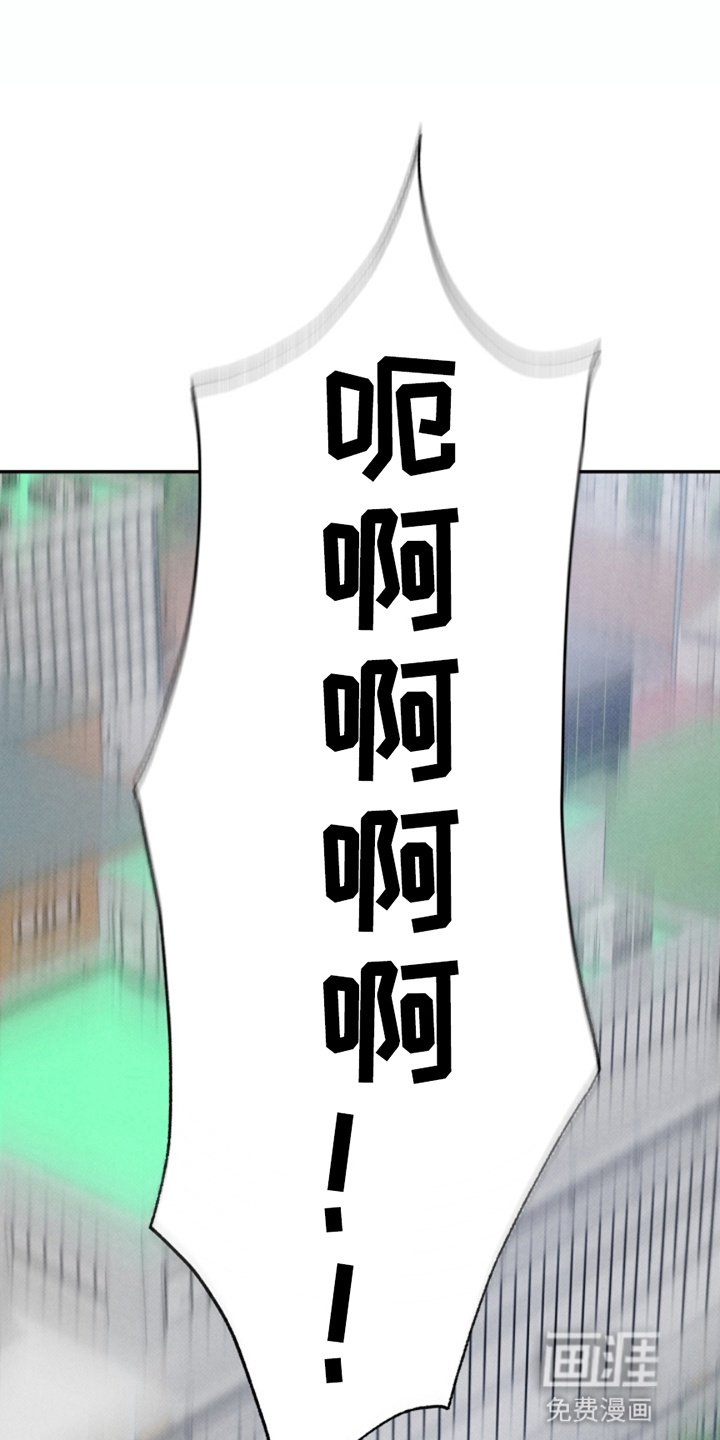 第13章：玩偶