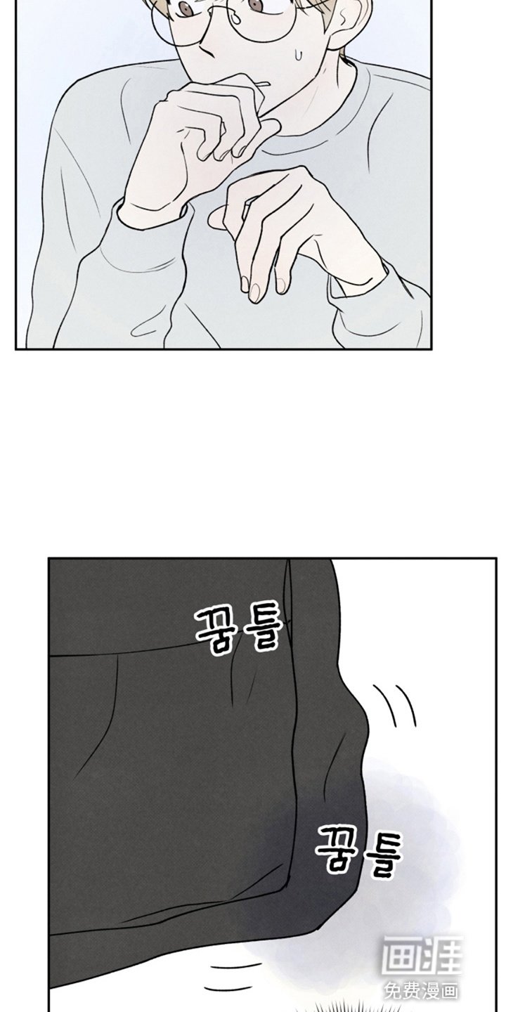 第13章：玩偶