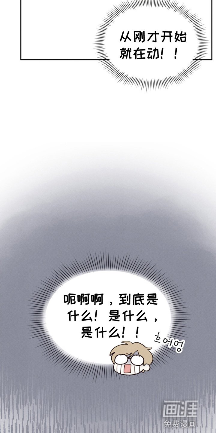 第13章：玩偶