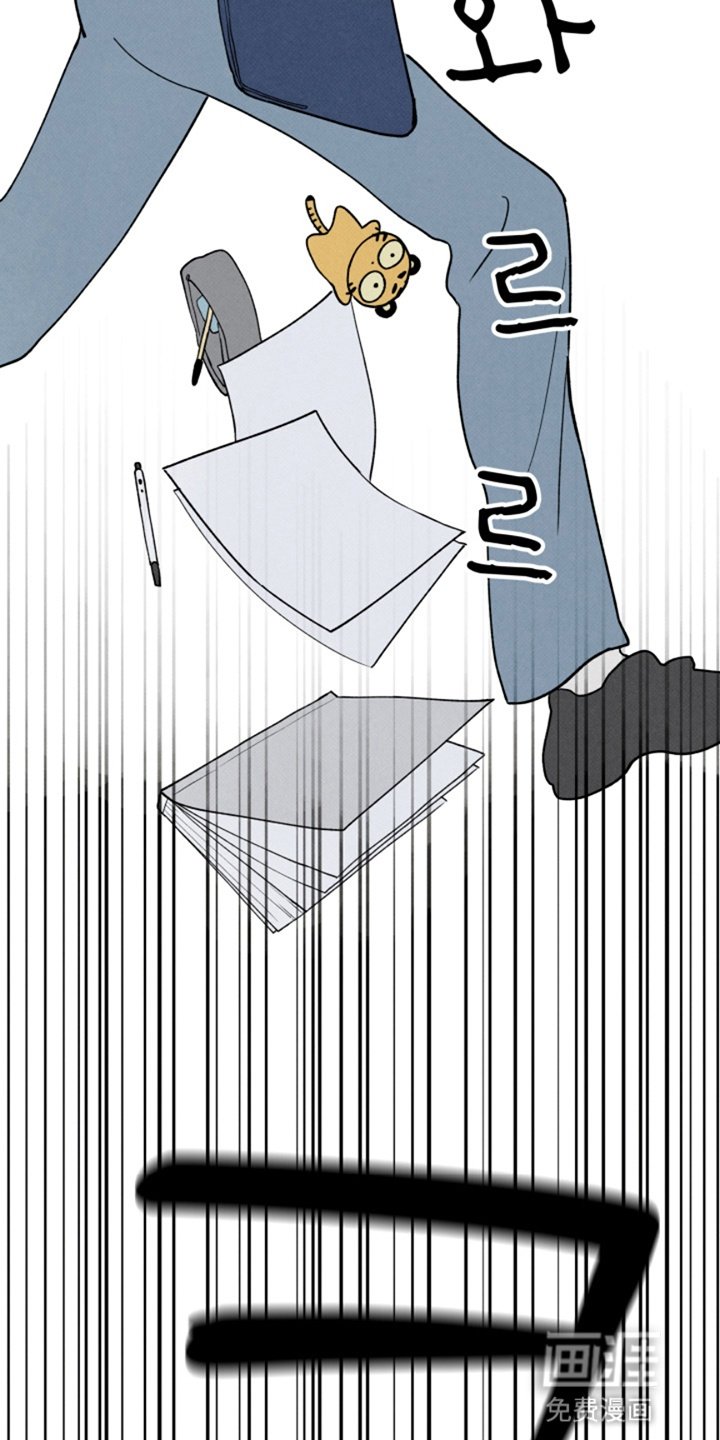 第13章：玩偶