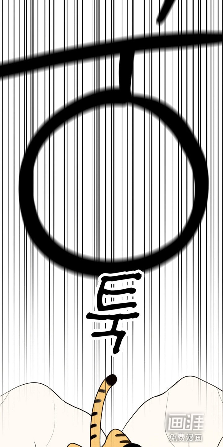 第13章：玩偶