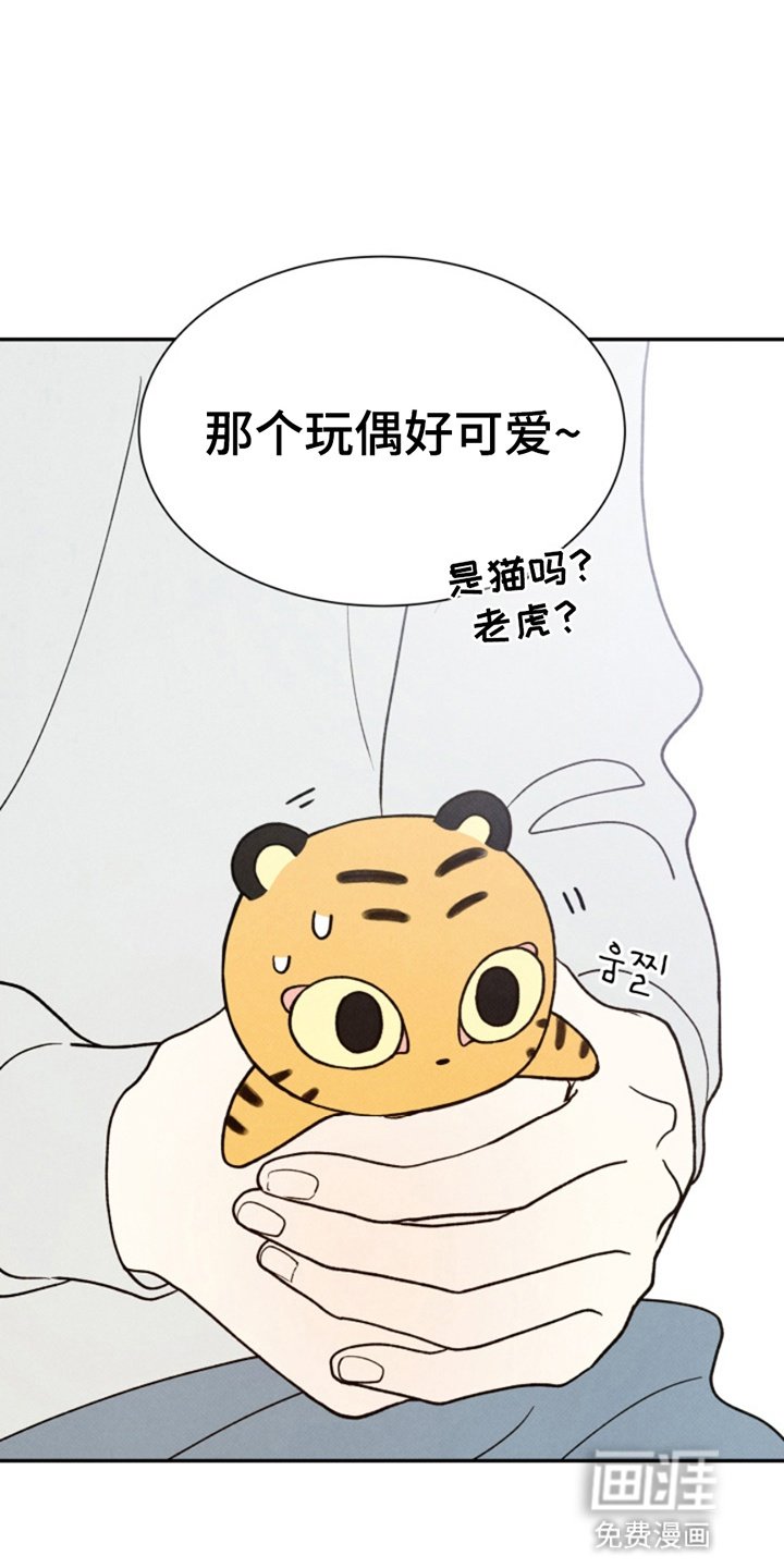 第13章：玩偶