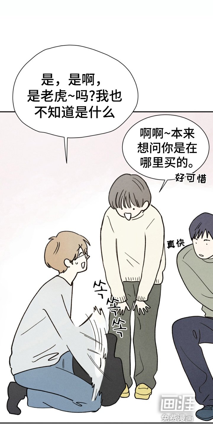 第13章：玩偶