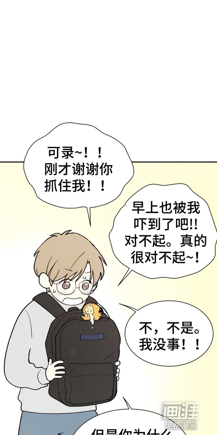 第13章：玩偶