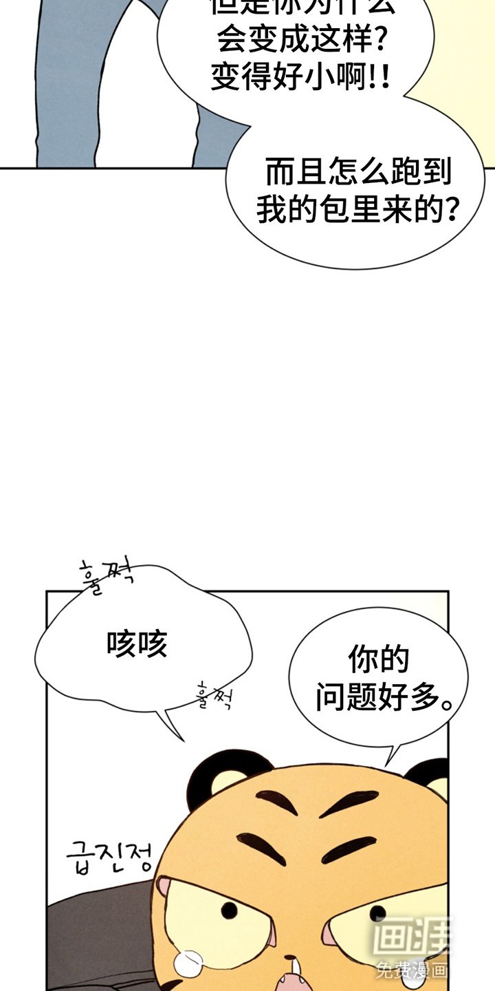 第13章：玩偶