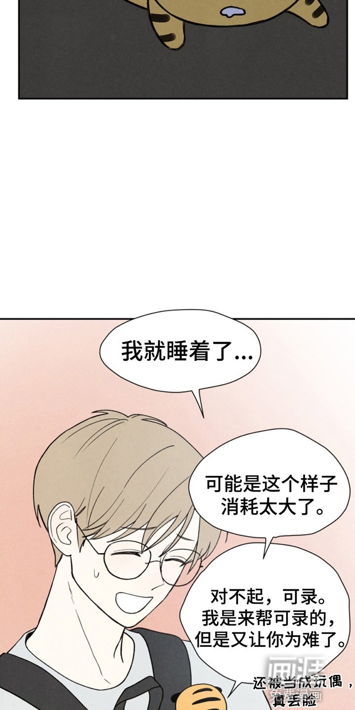 第13章：玩偶