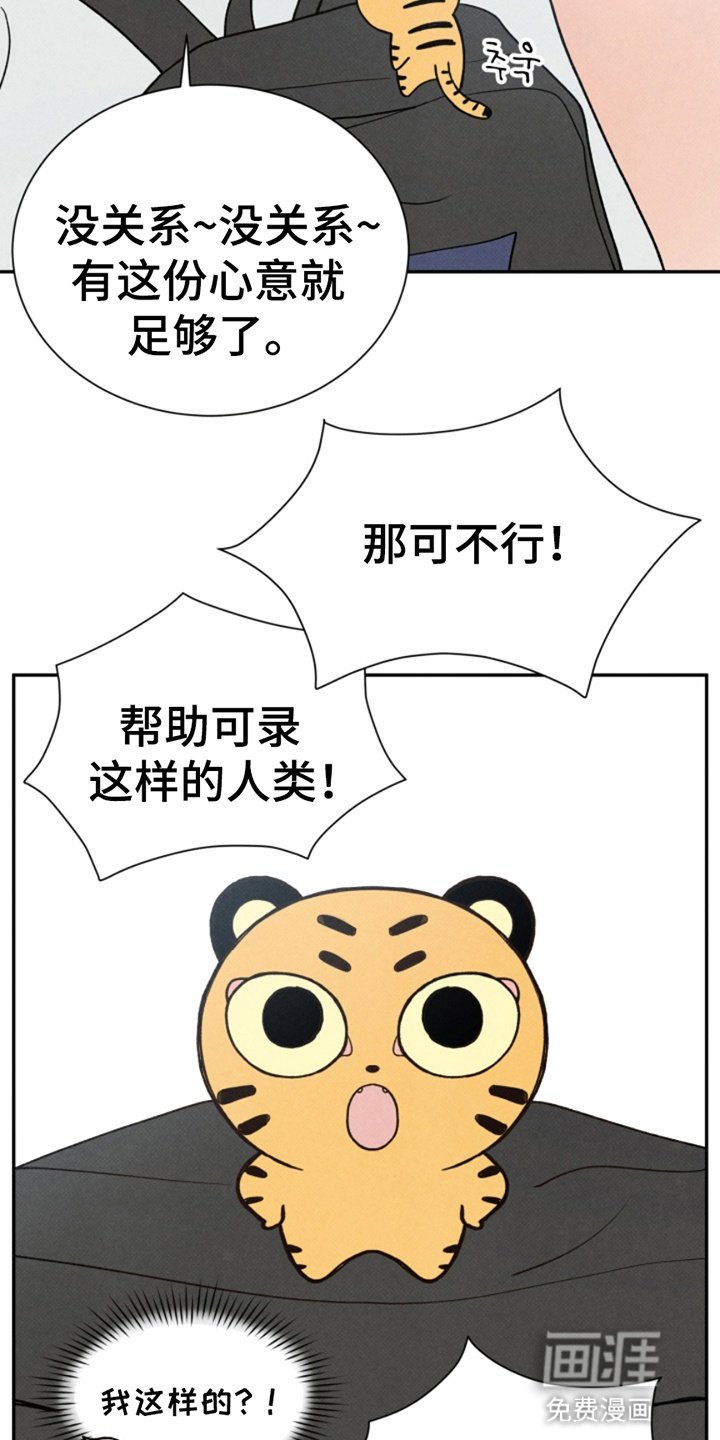 第13章：玩偶