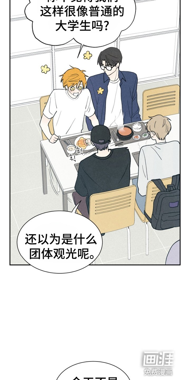 第17章：奇怪的软件