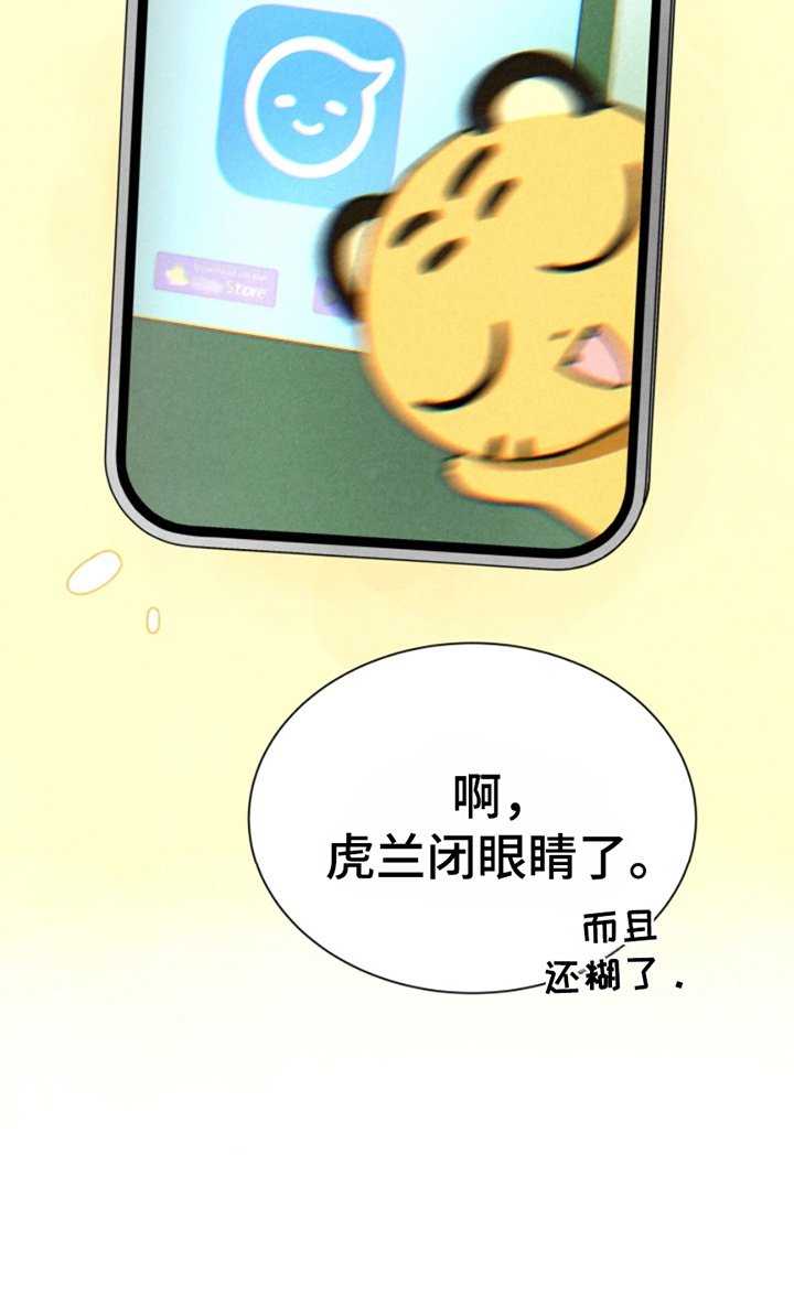 第17章：奇怪的软件